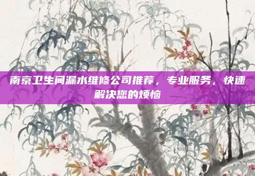南京卫生间漏水维修公司推荐，专业服务，快速解决您的烦恼