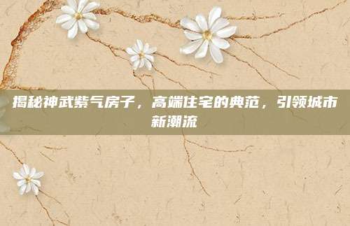 揭秘神武紫气房子，高端住宅的典范，引领城市新潮流