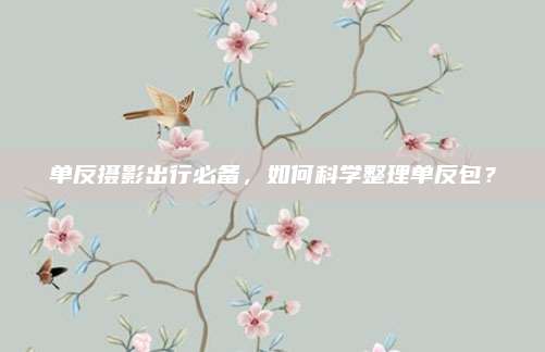 单反摄影出行必备，如何科学整理单反包？