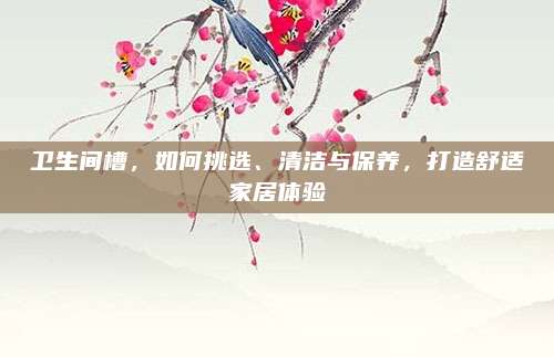 卫生间槽，如何挑选、清洁与保养，打造舒适家居体验
