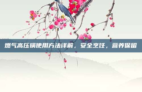燃气高压锅使用方法详解，安全烹饪，营养保留