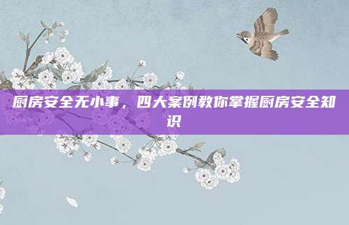 厨房安全无小事，四大案例教你掌握厨房安全知识
