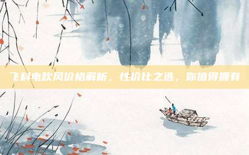 飞科电吹风价格解析，性价比之选，你值得拥有