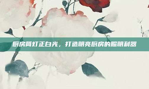 厨房筒灯正白光，打造明亮厨房的照明利器