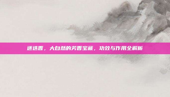 迷迭香，大自然的芳香宝藏，功效与作用全解析