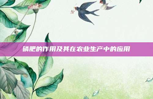 磷肥的作用及其在农业生产中的应用