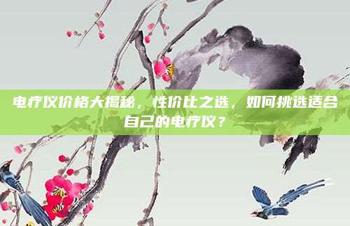 电疗仪价格大揭秘，性价比之选，如何挑选适合自己的电疗仪？