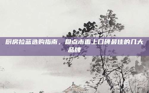 厨房拉蓝选购指南，盘点市面上口碑最佳的几大品牌