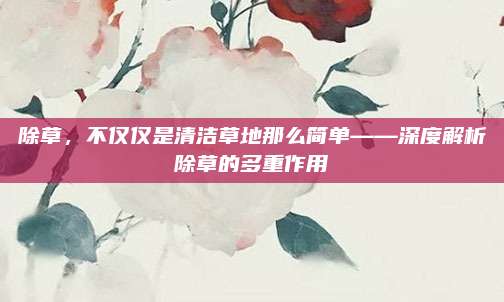 除草，不仅仅是清洁草地那么简单——深度解析除草的多重作用