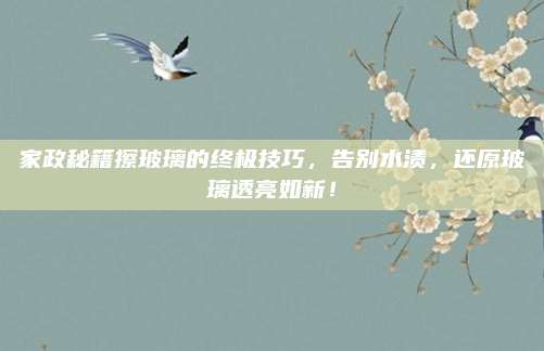 家政秘籍擦玻璃的终极技巧，告别水渍，还原玻璃透亮如新！