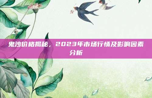 鬼沙价格揭秘，2023年市场行情及影响因素分析