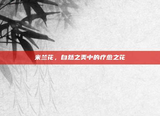 米兰花，自然之美中的疗愈之花