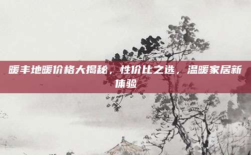 暖丰地暖价格大揭秘，性价比之选，温暖家居新体验