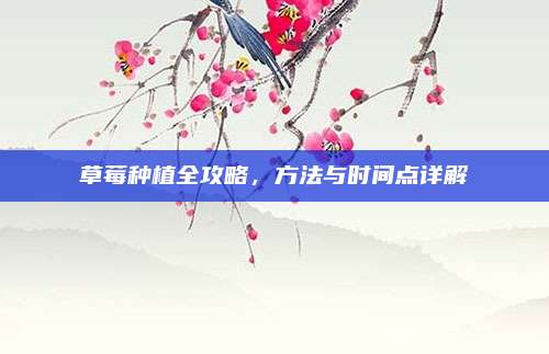 草莓种植全攻略，方法与时间点详解