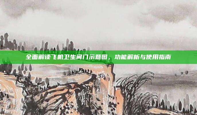 全面解读飞机卫生间门示意图，功能解析与使用指南