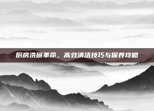 厨房洗碗革命，高效清洁技巧与保养攻略