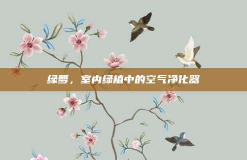 绿箩，室内绿植中的空气净化器