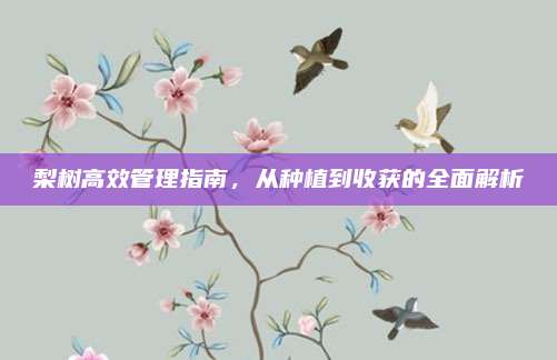 梨树高效管理指南，从种植到收获的全面解析