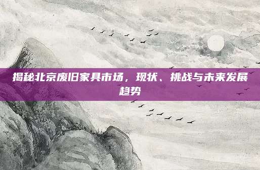 揭秘北京废旧家具市场，现状、挑战与未来发展趋势