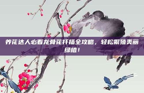 养花达人必看龙骨花扦插全攻略，轻松繁殖美丽绿植！
