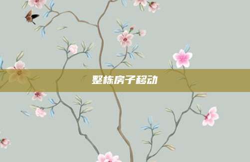 整栋房子移动