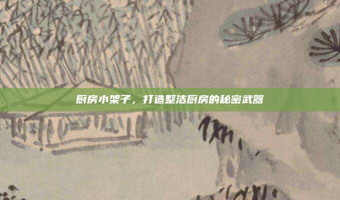 厨房小架子，打造整洁厨房的秘密武器