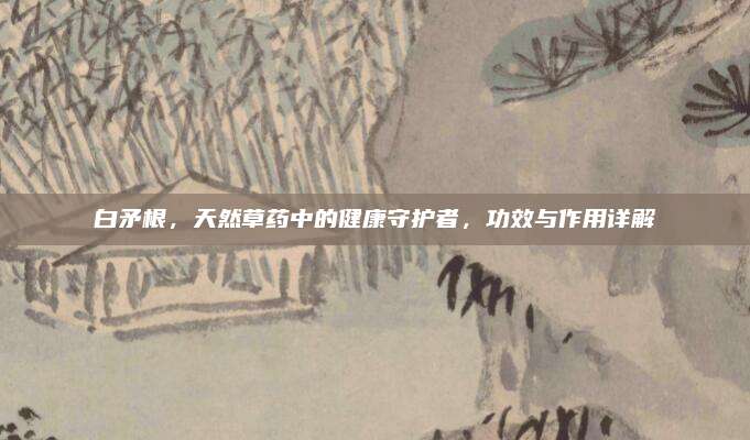 白矛根，天然草药中的健康守护者，功效与作用详解