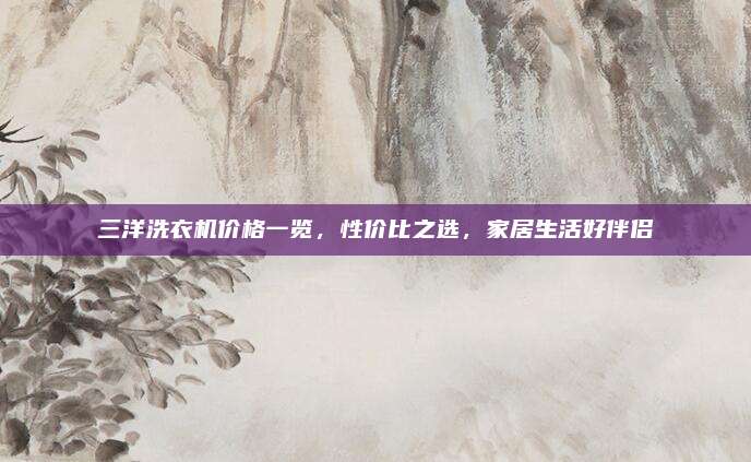 三洋洗衣机价格一览，性价比之选，家居生活好伴侣