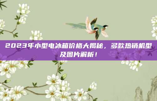 2023年小型电冰箱价格大揭秘，多款热销机型及图片解析！