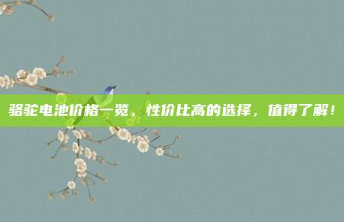 骆驼电池价格一览，性价比高的选择，值得了解！