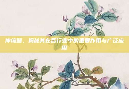 伸缩器，揭秘其在各行业中的重要作用与广泛应用