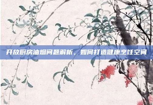 开放厨房油烟问题解析，如何打造健康烹饪空间