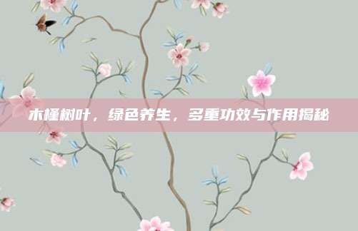 木槿树叶，绿色养生，多重功效与作用揭秘