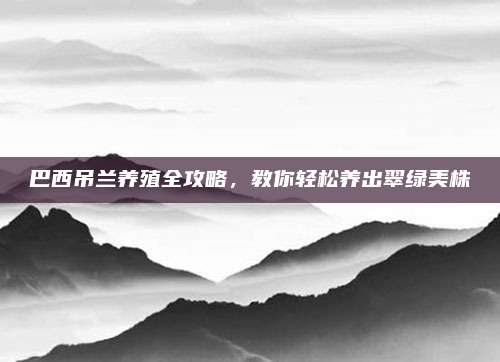 巴西吊兰养殖全攻略，教你轻松养出翠绿美株