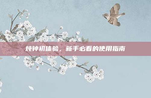 炖钟初体验，新手必看的使用指南