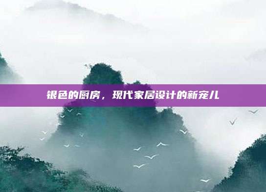 银色的厨房，现代家居设计的新宠儿