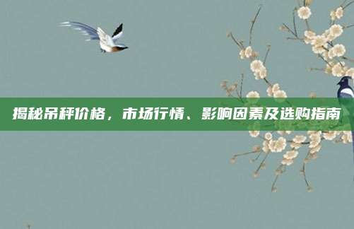 揭秘吊秤价格，市场行情、影响因素及选购指南