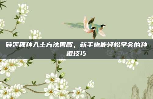 碗莲藕种入土方法图解，新手也能轻松学会的种植技巧