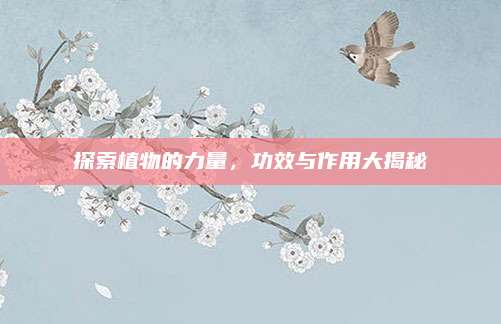 探索植物的力量，功效与作用大揭秘
