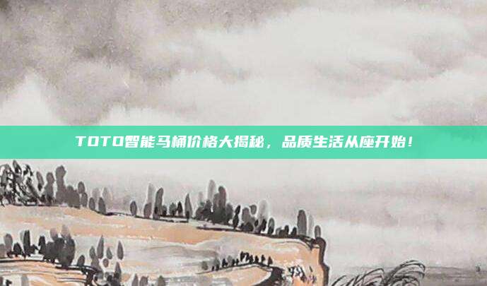 TOTO智能马桶价格大揭秘，品质生活从座开始！