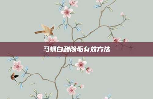 马桶白醋除垢有效方法