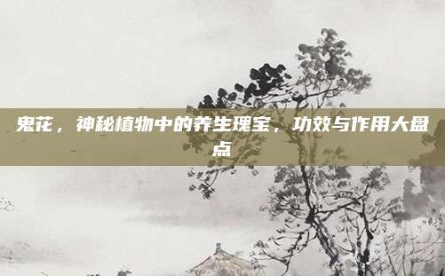 鬼花，神秘植物中的养生瑰宝，功效与作用大盘点