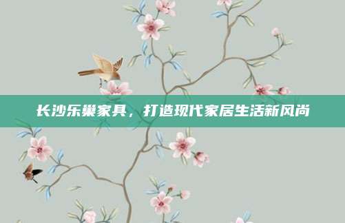 长沙乐巢家具，打造现代家居生活新风尚