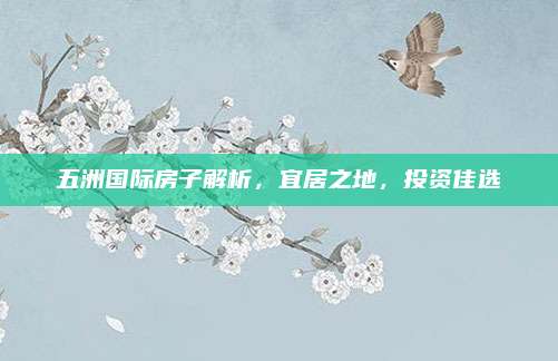 五洲国际房子解析，宜居之地，投资佳选