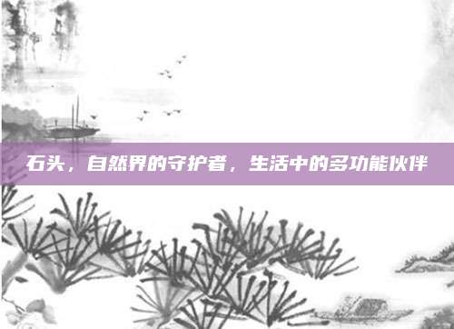 石头，自然界的守护者，生活中的多功能伙伴
