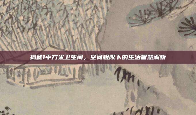 揭秘1平方米卫生间，空间极限下的生活智慧解析