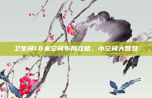 卫生间1.6米空间布局攻略，小空间大智慧