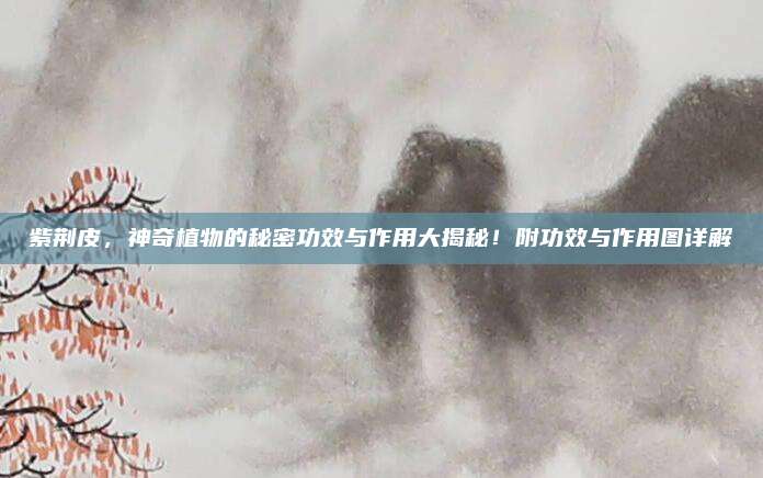 紫荆皮，神奇植物的秘密功效与作用大揭秘！附功效与作用图详解