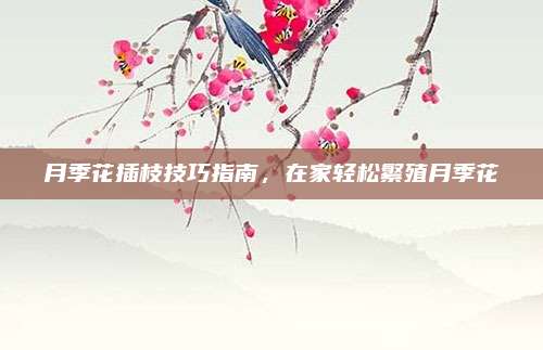 月季花插枝技巧指南，在家轻松繁殖月季花