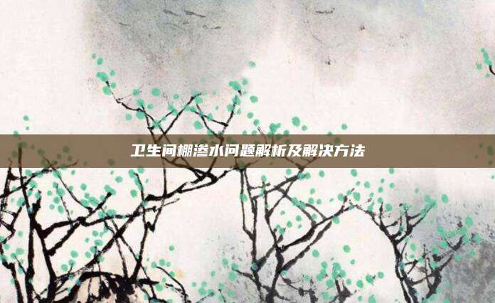 卫生间棚渗水问题解析及解决方法